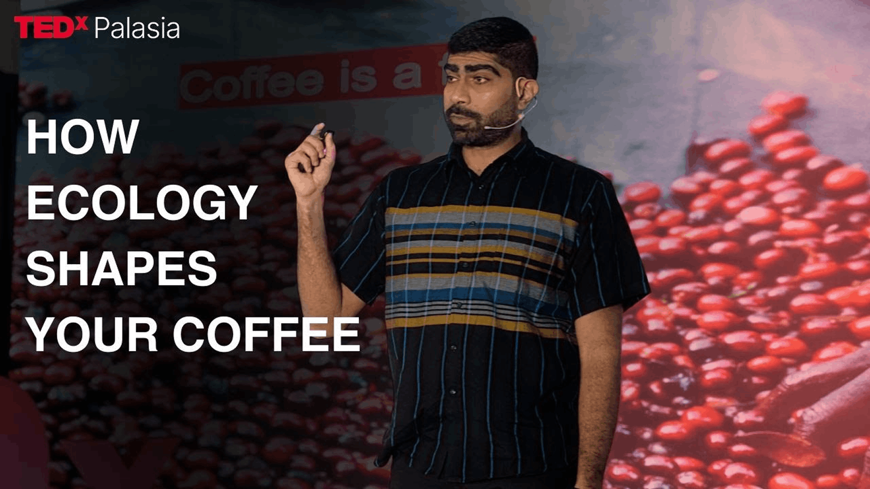 How Ecology Shapes Your Coffee